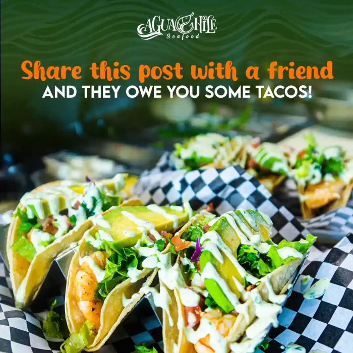 AGUACHILE 4_11zon_11zon